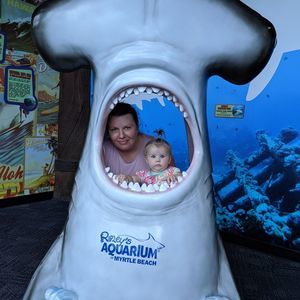 Meet your Posher, Katrina